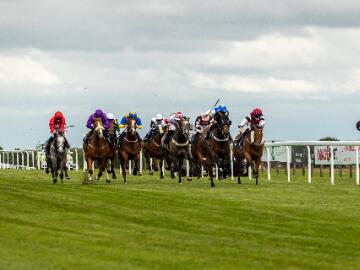 Horses at Bath Evening Racing
