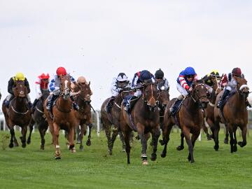 Group of Horse Racing 