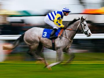 A horse travelling fast enough to cause the camera to blur his legs.  Jockey Included.