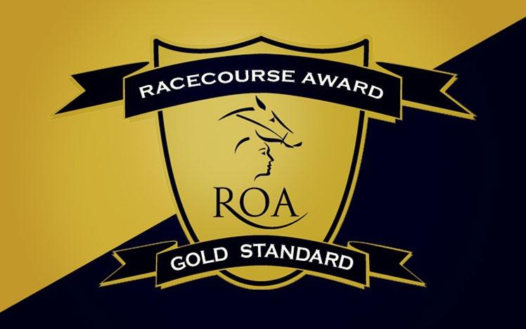 ROA award logo.