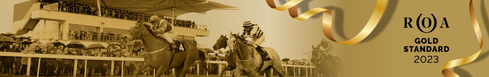 ROA Gold Standard Award