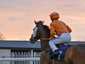 Sunset Horse and Jockey 