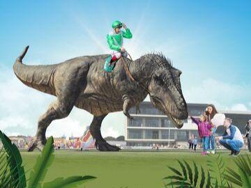 Useful Information about your day at the races