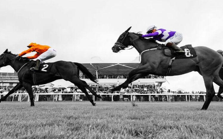 Two jockeys racing past the main grandstand at Bath Racecourse.